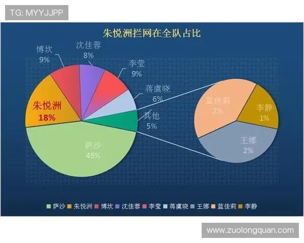 上海排球队总决赛战术解析与表现评估的深度分析