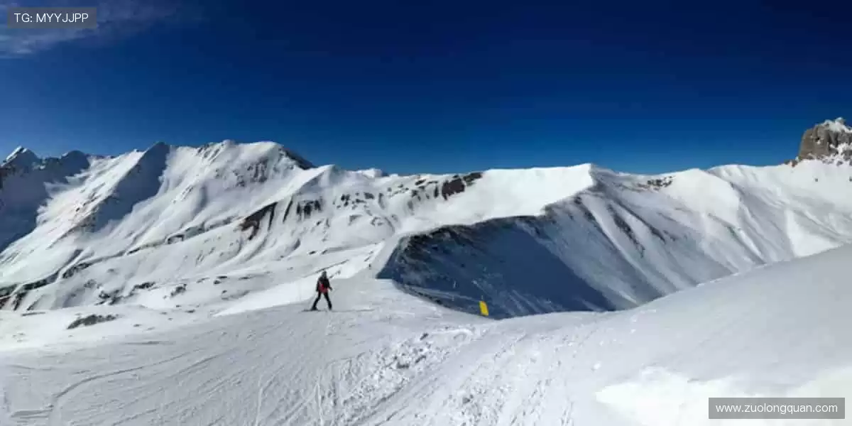 点燃你的运动基因，与全球爱好者同场竞技！🔥